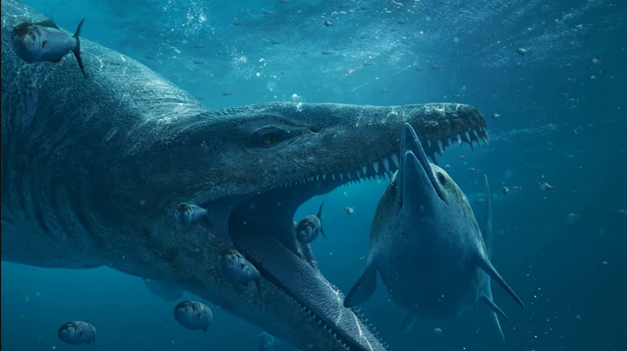 pliosauro dorset