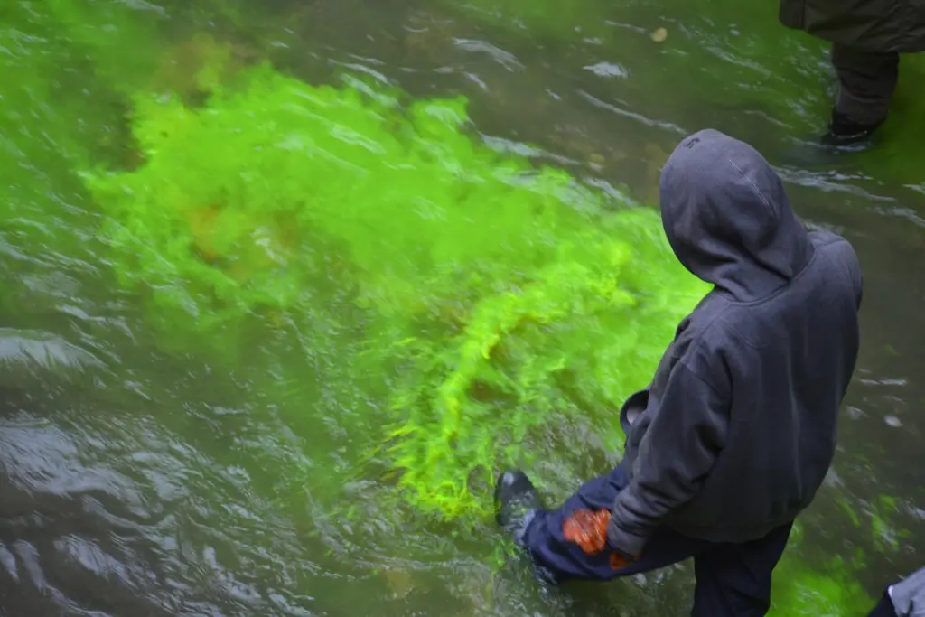 protesta extinction rebellion bologna