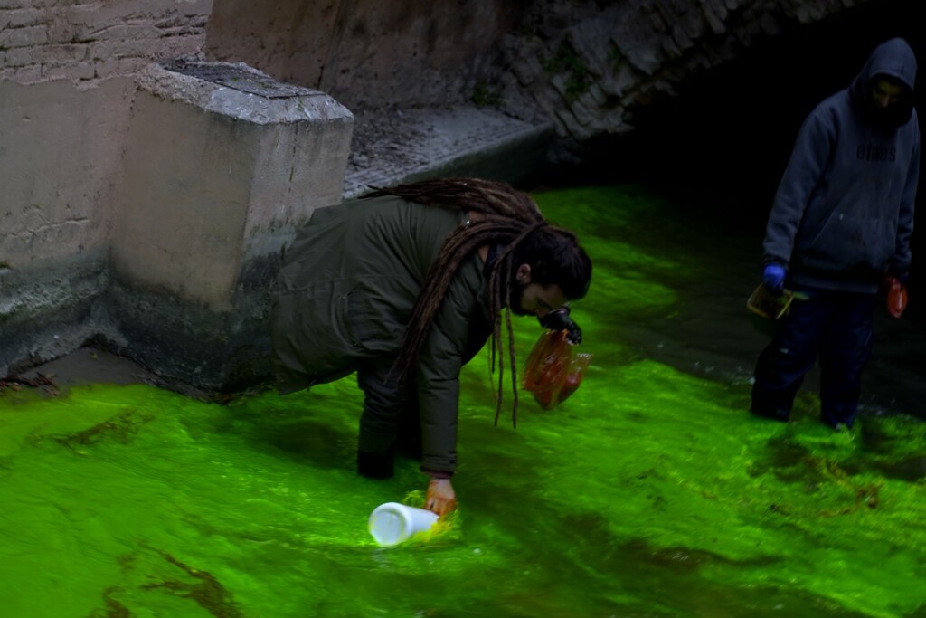 protesta extinction rebellion bologna