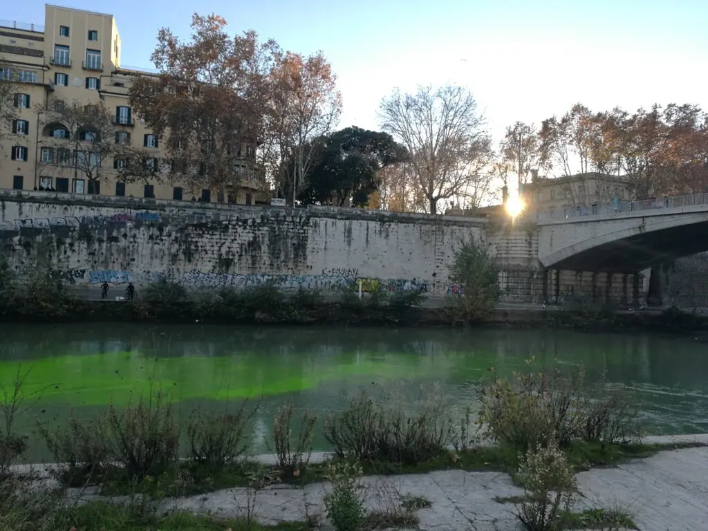 protesta extinction rebellion roma