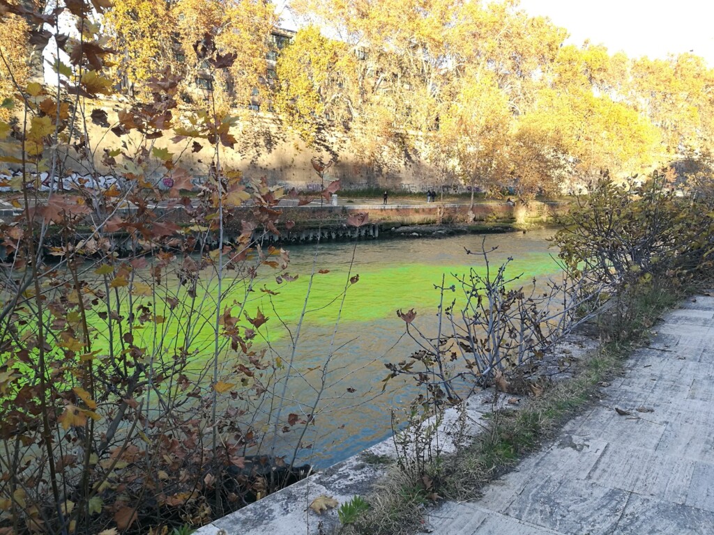 protesta extinction rebellion roma