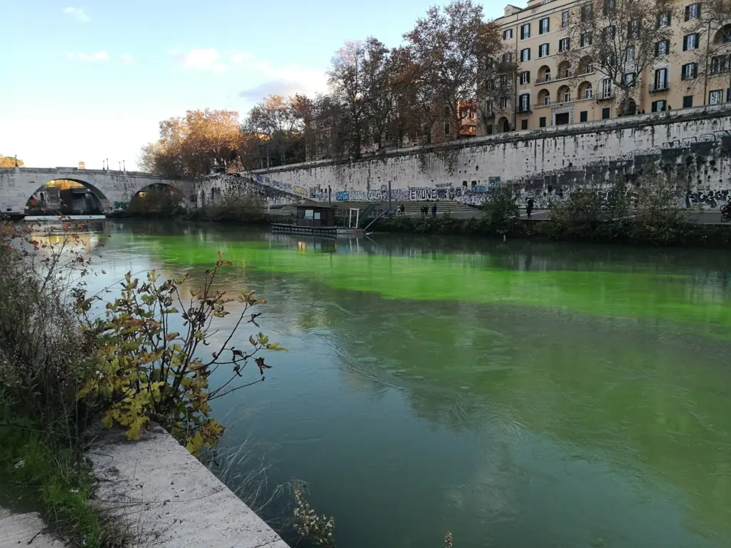 protesta extinction rebellion roma