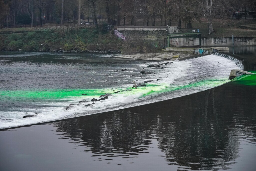 protesta extinction rebellion torino