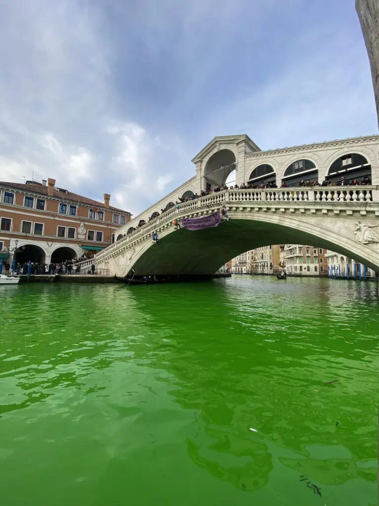 protesta extinction rebellion venezia