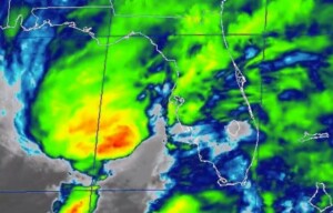 tempesta florida