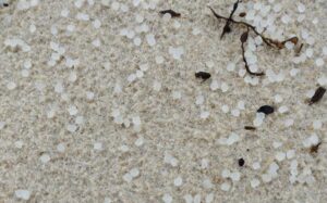 plastica spiagge Galizia
