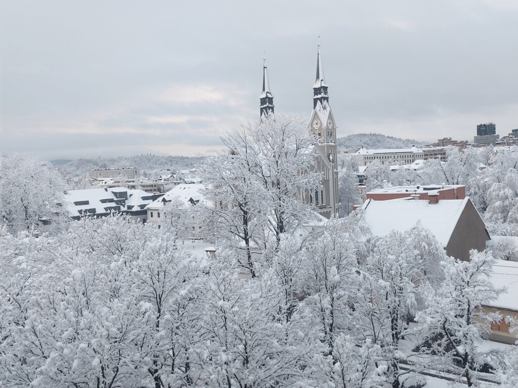 Lubiana neve