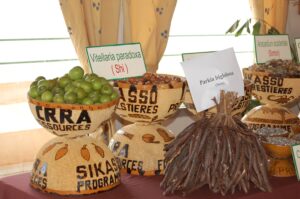 biodiversità a rischio