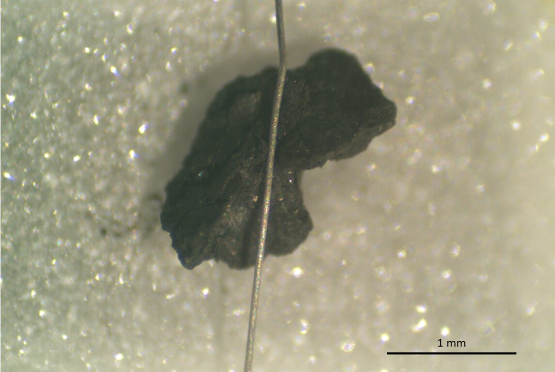 asteroide Ryugu analisi infn unifi inaf