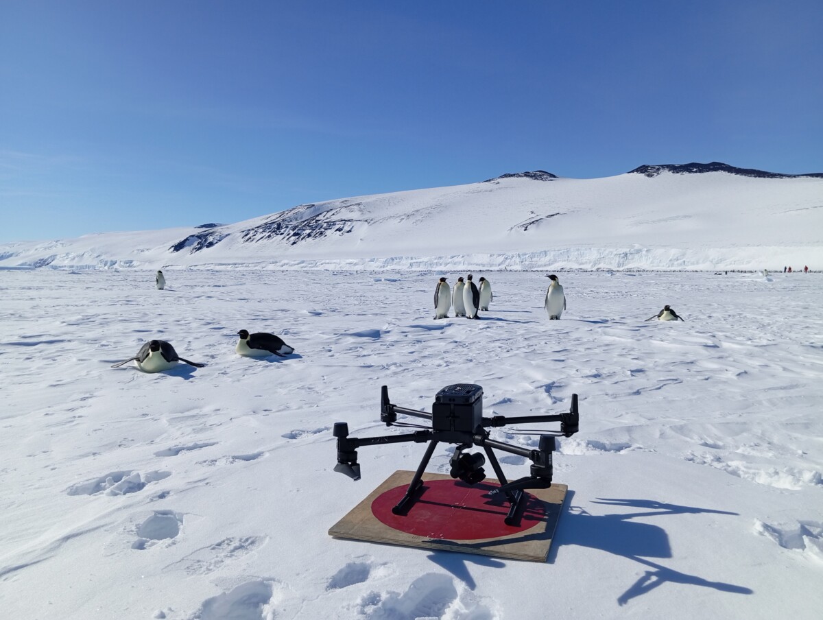 droni antartide