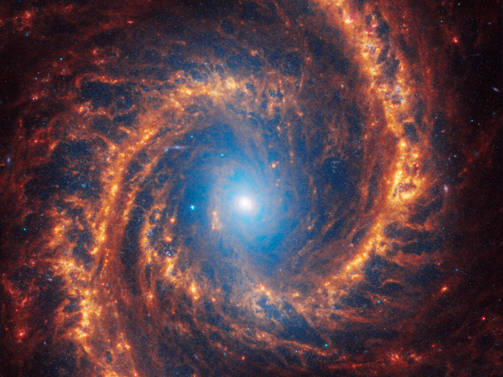 galassia NGC 1566