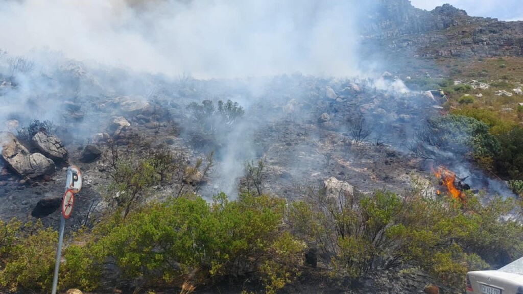 incendi città del capo sudafrica