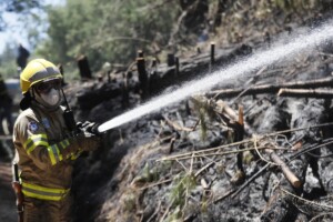 incendi colombi