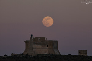 luna piena del lupo