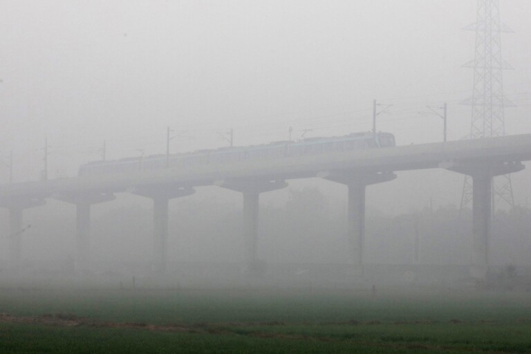 nebbia new delhi