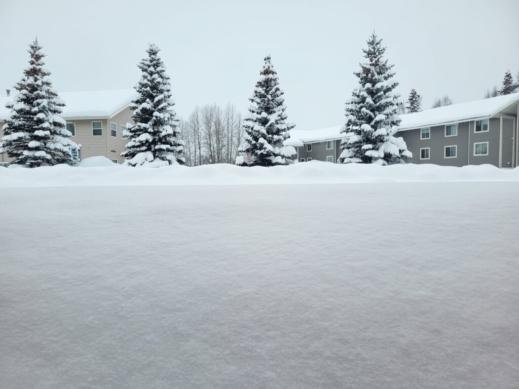 neve anchorage alaska
