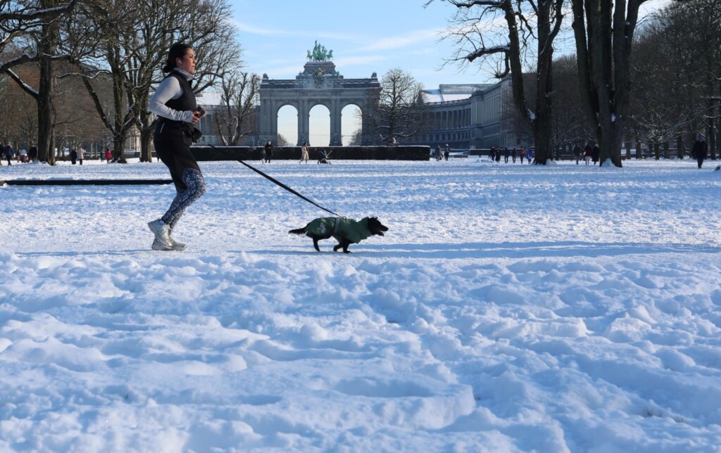 neve belgio