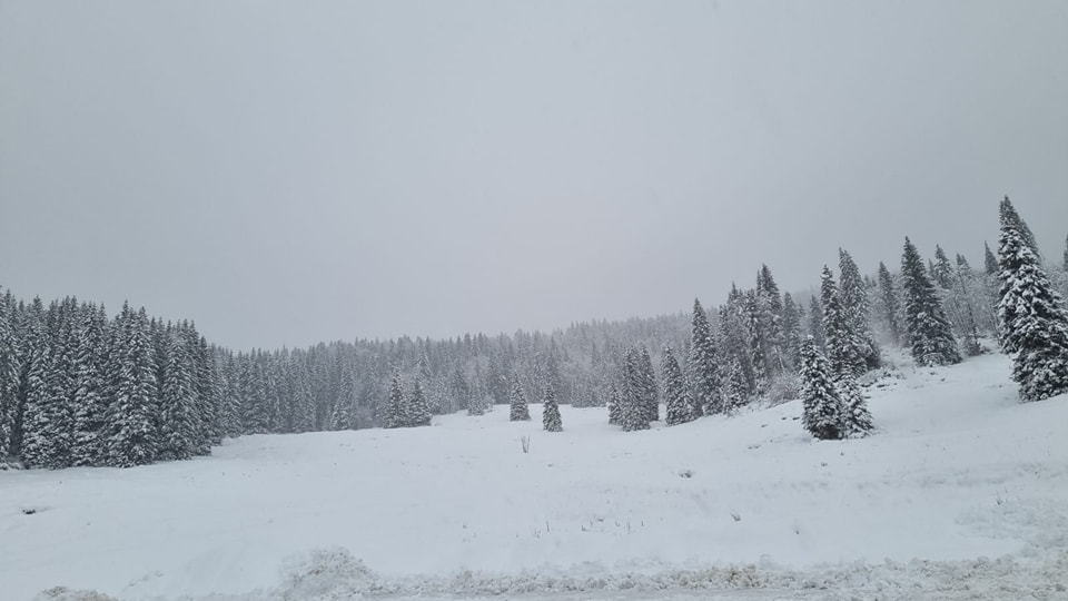 neve campomulo veneto