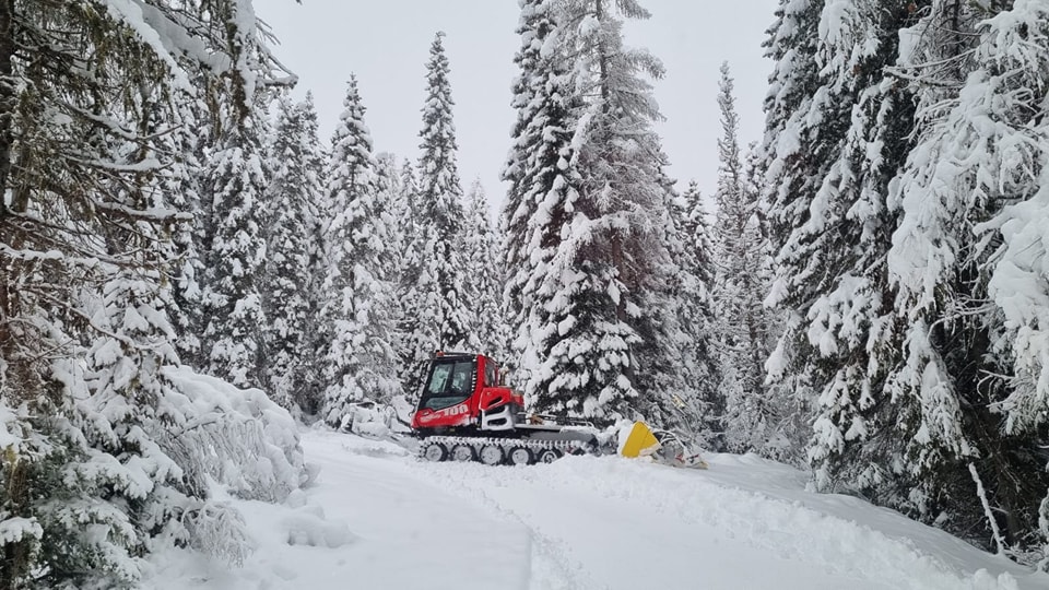 neve campomulo veneto
