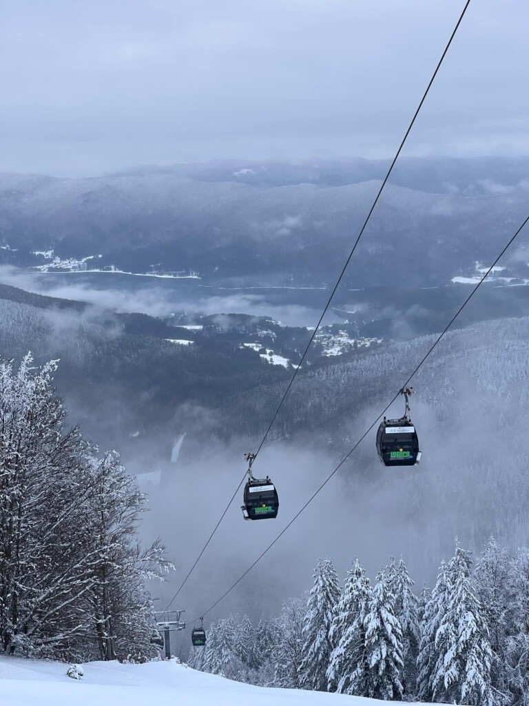 neve in sila