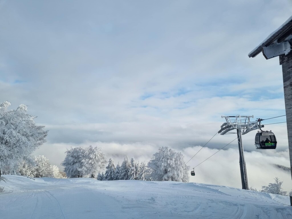 neve in sila