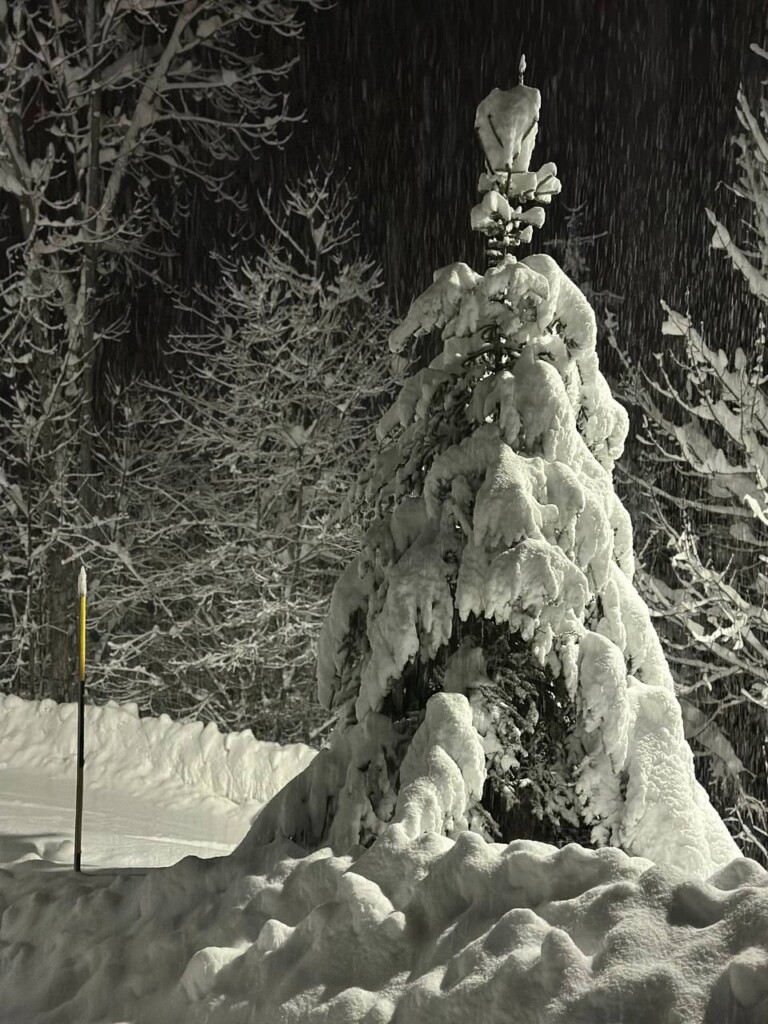 neve limone piemonte