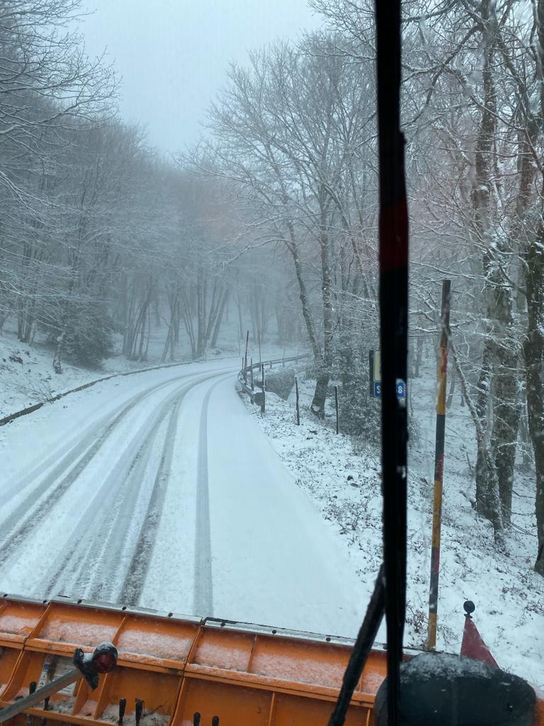 neve messinese