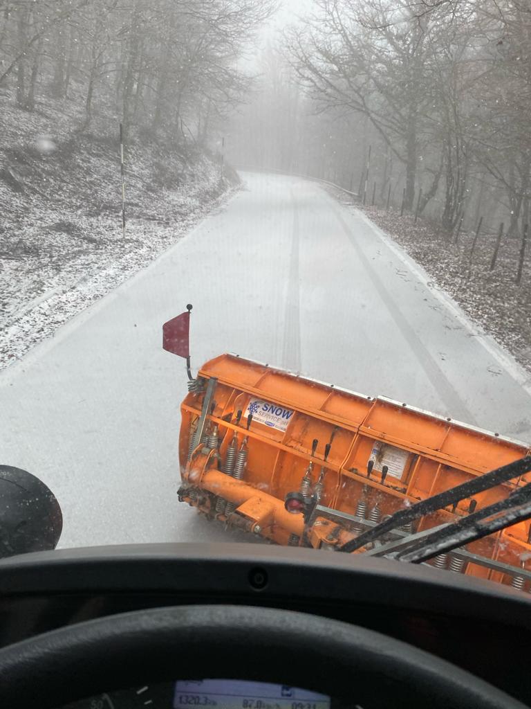 neve messinese