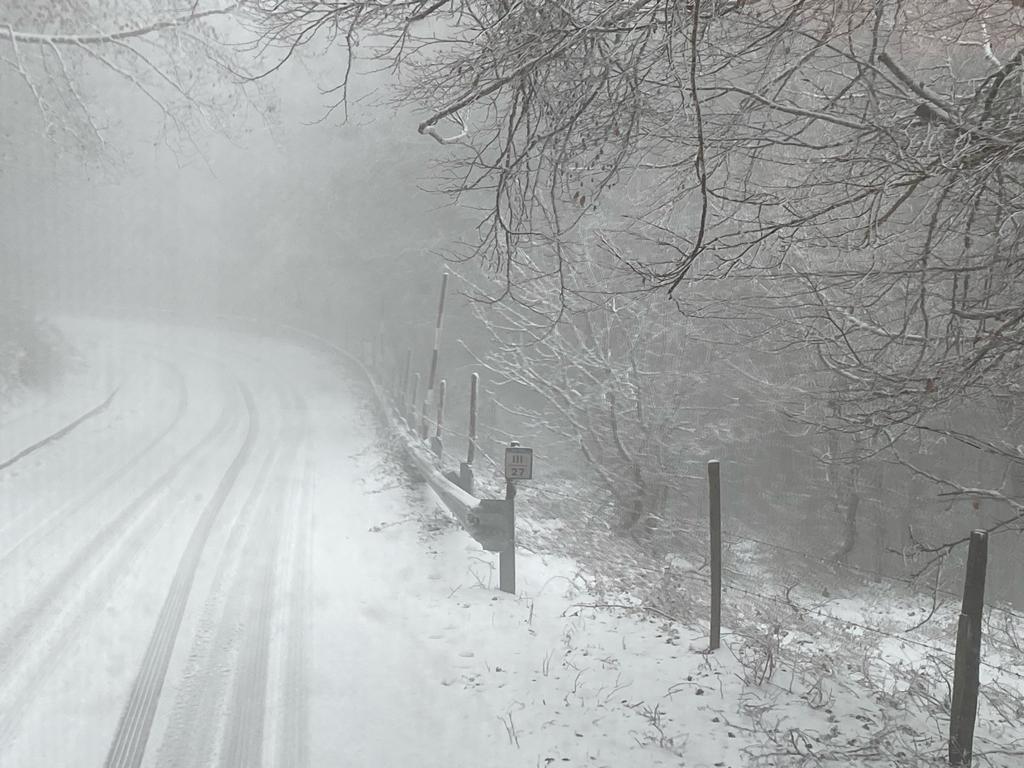 neve messinese