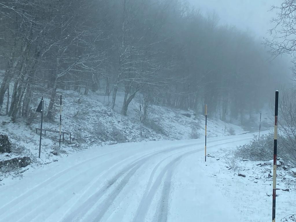 neve messinese
