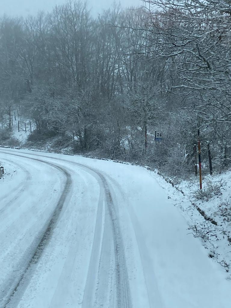 neve messinese