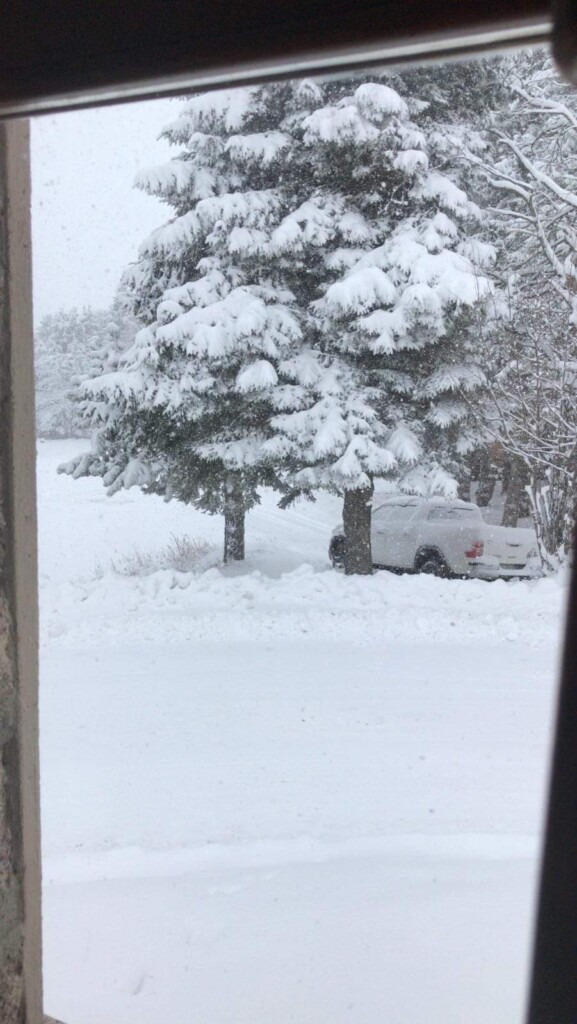 neve mottarone piemonte