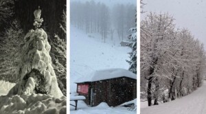 neve piemonte
