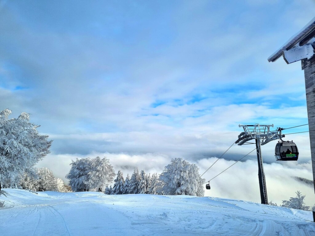 neve in sila
