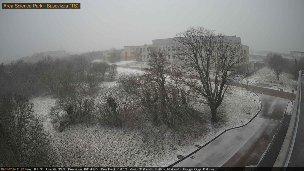 neve trieste bora