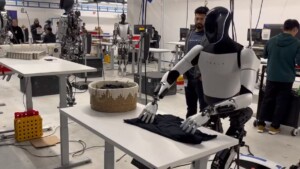 optimus robot Tesla