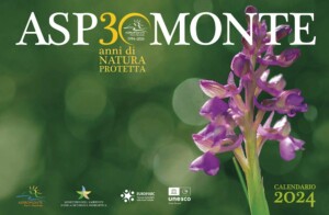 parco aspromonte nuovo calendario