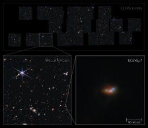 webb mistero universo primordiale