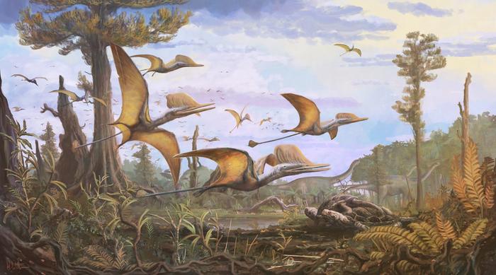 Low-Res_Cheoptera © NHM & Witton