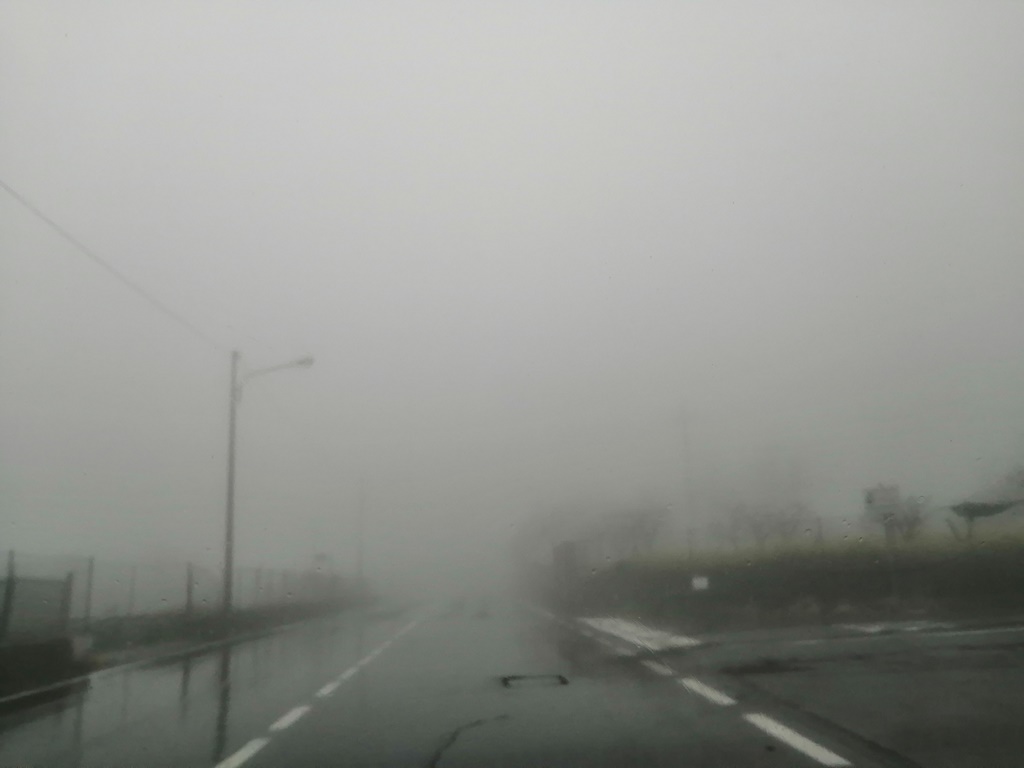 Pedara-Zafferana nebbia etna