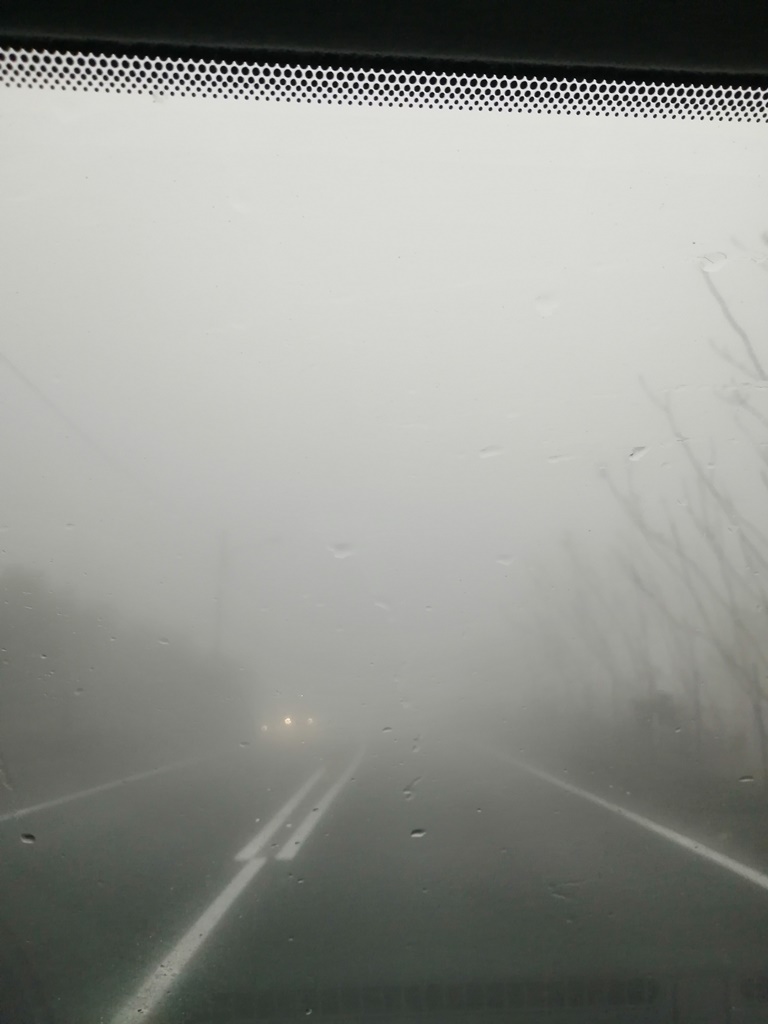 Pedara-Zafferana nebbia etna