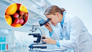 abbassare glicemia alta nutraceutici