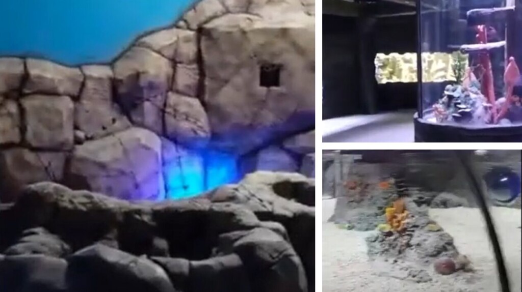 acquario eur roma