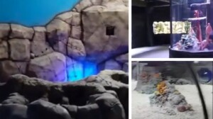 acquario eur roma