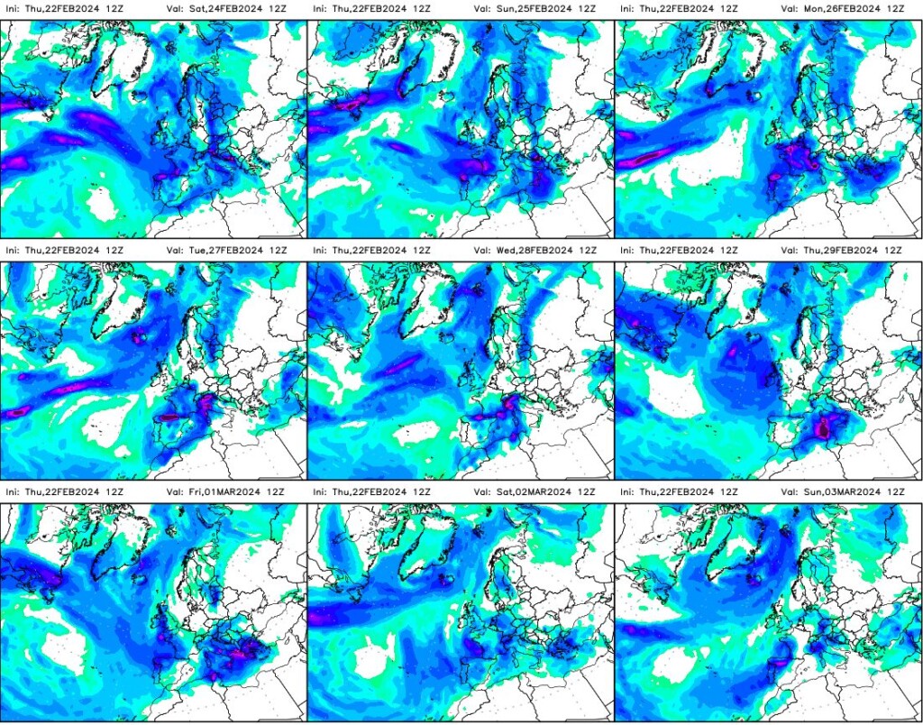allerta meteo febbraio marzo 2024
