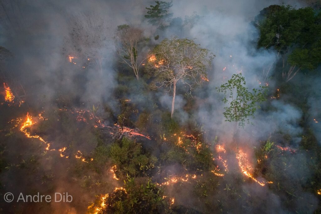amazzonia