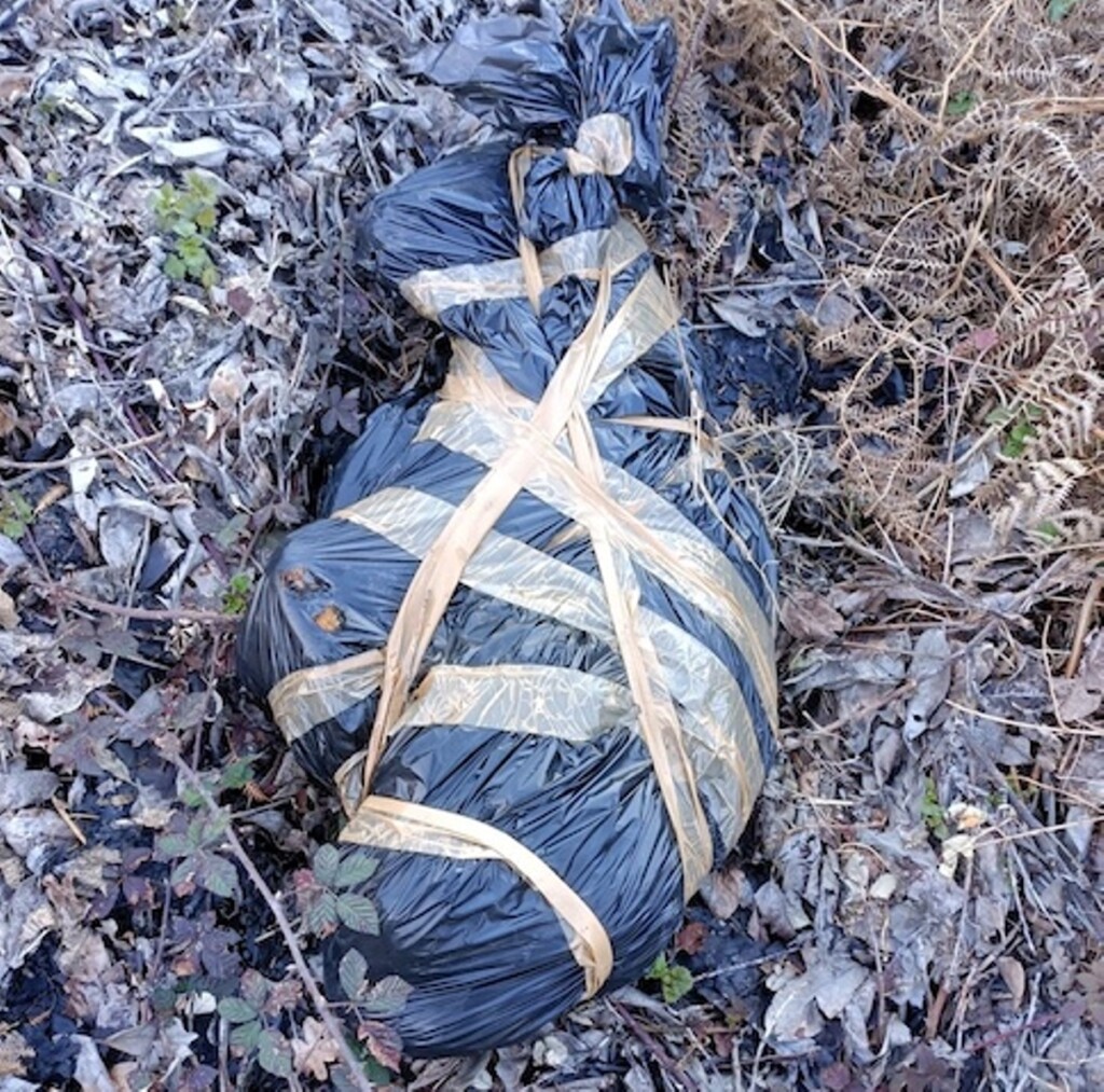 cane-morto-roccapriora
