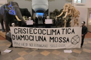 extinction rebellion torino