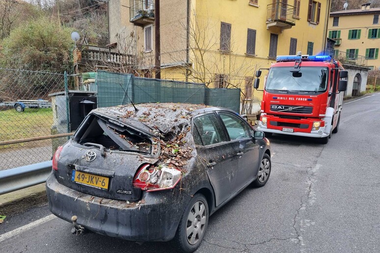 frana cadegliano