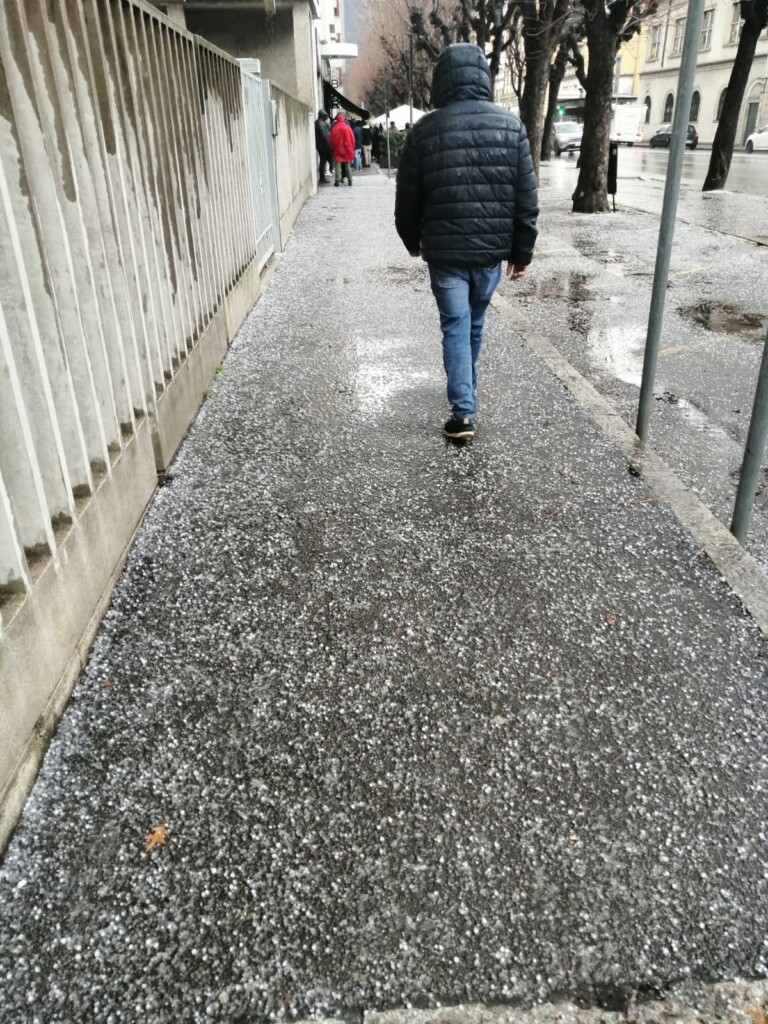 grandine como